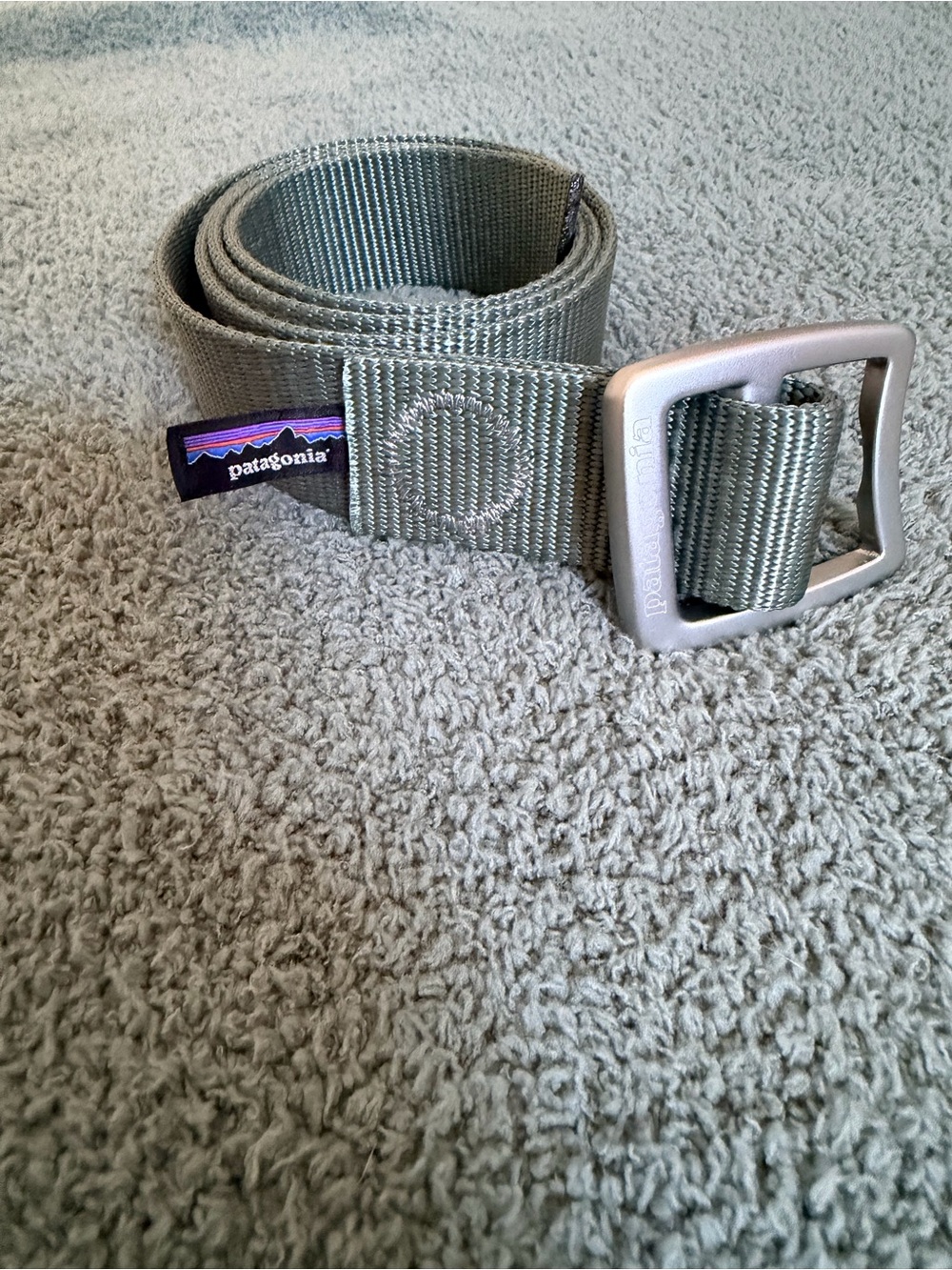 Patagonia Men's Webbing Belt in Olive